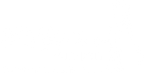 Steffens Pumpen Shop